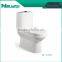 M-1019 one piece siphonic toilet