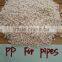modified PP plastic Granules recycled Polypropylene Raw Material Price