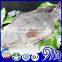 Fresh Fish Frozen Tilapia Gutted and Scaled