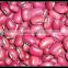 Crop 2013 Red cowpeas (cowpea beans/cowpea seeds)