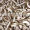 Frozen blanched Shiitake mushroom whole crop 2015 hot sale