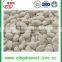 IQF Frozen Peeled Garlic Can Use Cooking