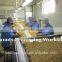  recommend high quality and good price Blanched Peanut Kernels