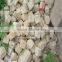 shandong natural Sandstones, direct factory