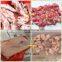Automatic Stainless Steel Pork Skin Cutting Machine