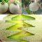 Strong Growth Anti Wilt Disease Melon Seeds Hybrid Melon Seeds Yellow Moon