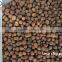 Hydroponic farming grow medium expanding clay pellet
