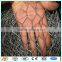 60*80 mesh Hexagonal chicken wire netting monkey fence