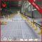 Automatic poultry chicken farm equipment for broilers and breeders