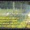 Factory supply high quality farm fence / field fence & cattle fence / horse farm fence