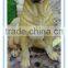 2015 popular resin sitting dog ornaments made in china