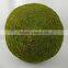 Handicraft Moss Ball
