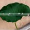 84cm length artificial PU lotus leaves plastic lotus leaves