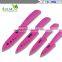 Manufacturers selling zirconia ceramic knife set 3 PCS