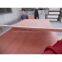Linyi Ruisen Good Quality Bintangor & Okoume Plywood for Furniture and Packing