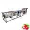 fruit cleaning machine laveur fruits maquina lavadora de fruta