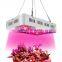 1200W Full Spectrum Double Chip Led Indoor Plants Seeds Hydroponic Grow Lights
