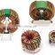 Household Appliances Choke Coil Inductor Power Supply Inductor