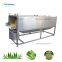 Automatic Aloe Vear Washing Machine Aloe Vear Washer Machine in aloe?vera?gel?manufacturing?machine
