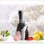 Amazing Household Fast Instant Yoghurt Portable DIY Home Serve Frozen Fruit Soft Ice Cream Maker