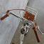 ВЕЛОСИПЕД bicycle/bike/cycle/BIKE 20