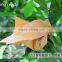 Fruit growing wrapping paper bags