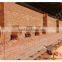 Kiln for Brick Making Machine