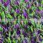 high quality with low price landscaping artificial grass /fake grass for crafts and decoration