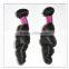 Top quality 100% natural virgin indian human hair india 2015 hair extension