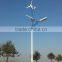 wind and solar hybrid street light,New energy products