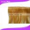 virgin remy russian hair tape extensions double drawn PU tape hair extensions 100% human hair
