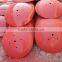 Agriculture machines wearing parts tractor plow disk blade                        
                                                Quality Choice