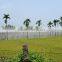 Agriculture Anti Aphid Netting / Insect Netting For Garden , Plants,greenhoue and horticulture