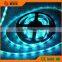 LED Strip Light SMD5050 strip lighting