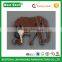 Roaming Elephant Hook antique wall key hook