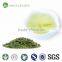 Tea market high mountain good tea tin box gift packing iso organic green tea