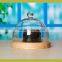 Glass cake dome cover with wooden switch box