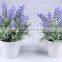 Artificial Flower Plastic Lavender Potted