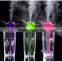 Factory Wholesale Flower Mini Humidifier