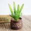 High Quanlity Succulent Plants For Decoration Artificial Plants Succulents Wholesale