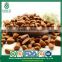 Brand Name Constant Supply High Quality Open Pine Nuts in Shell