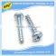 China customized manufacturer nonstandard stainless steel slotted screw