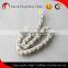 Dongsheng High Qulity Food Conveyor Plastic Chains 06CSPa
