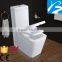CE Certified Washdown Two Piece Toilet