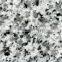 G640 grey granite Polished Granite Tiles Slab Quarry Factory owner