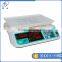 Digital Price Computing Scale /price computing scale weighing scale for supermarket