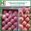 fresh fuji apple, names all fruits