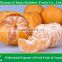 Honey mandarin orange Citrus fruit