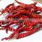 2016 New crop Red Dried Chilli