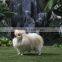 Lifelike Outdoor Large Decorative Plush Toy Dogs and Puppies for Sale Pet